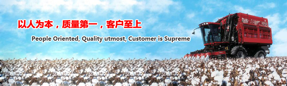 煙臺(tái)拉森鋼板樁施工